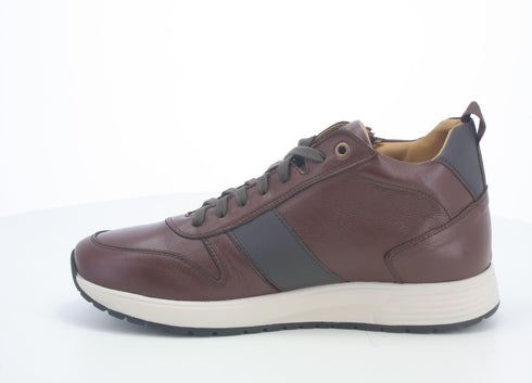 Melluso Uomo Scarpe basse Pelle U16253-218904 Marrone